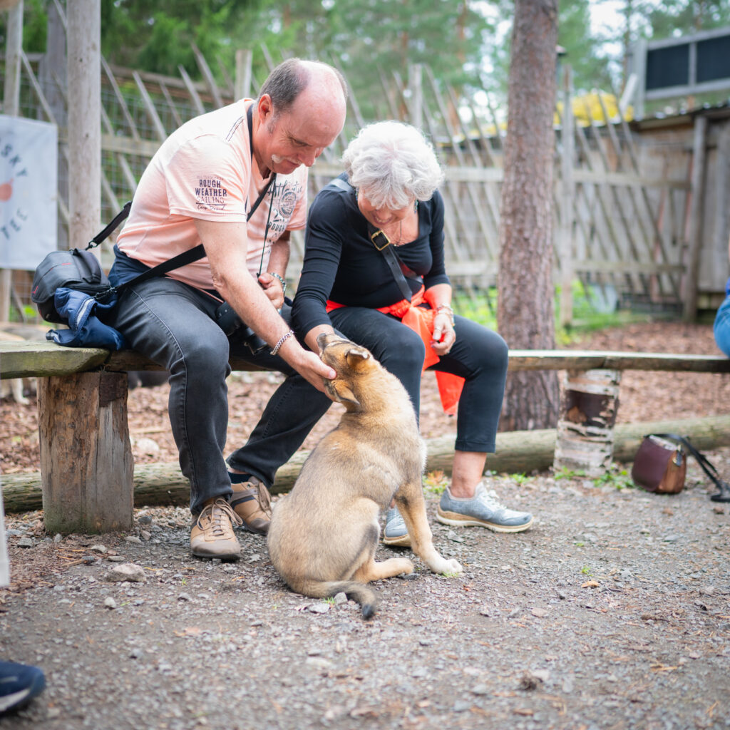 Elderly people are petting a Husky puppy in Husky Meet & Greet in Husky Park