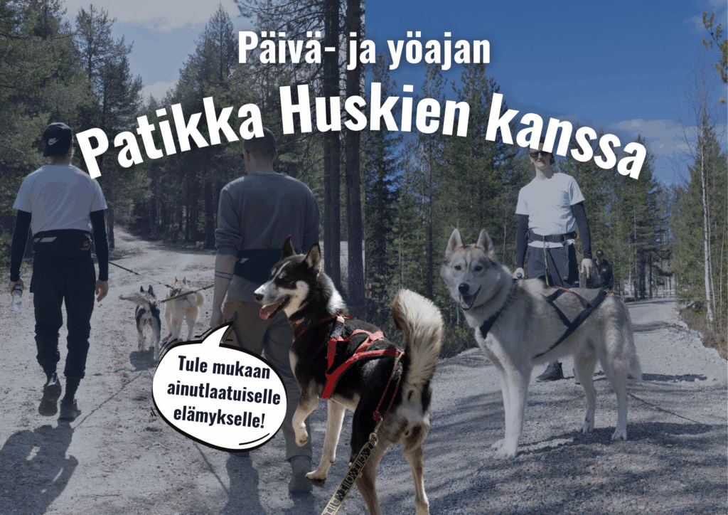 Tule mukaan vaellukselle ja koe Lapin luonto!