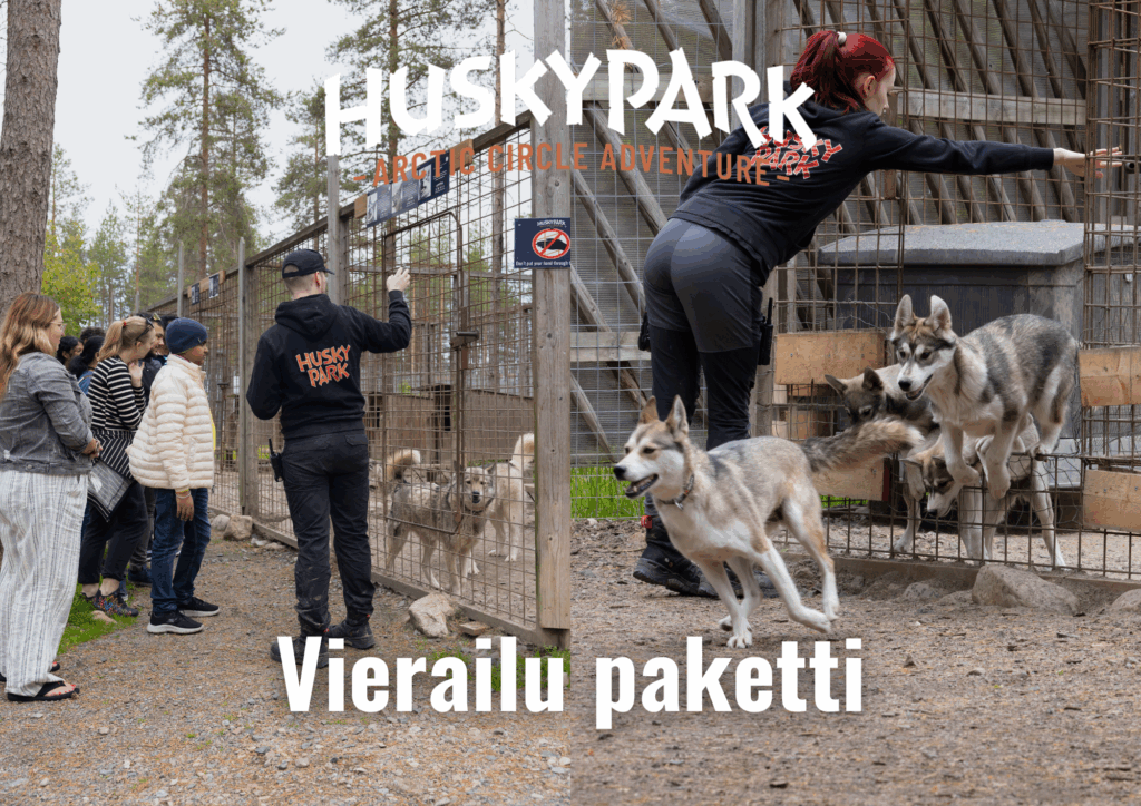 Opi Huskeista ja tapaa nuorimmat karvakaverit!