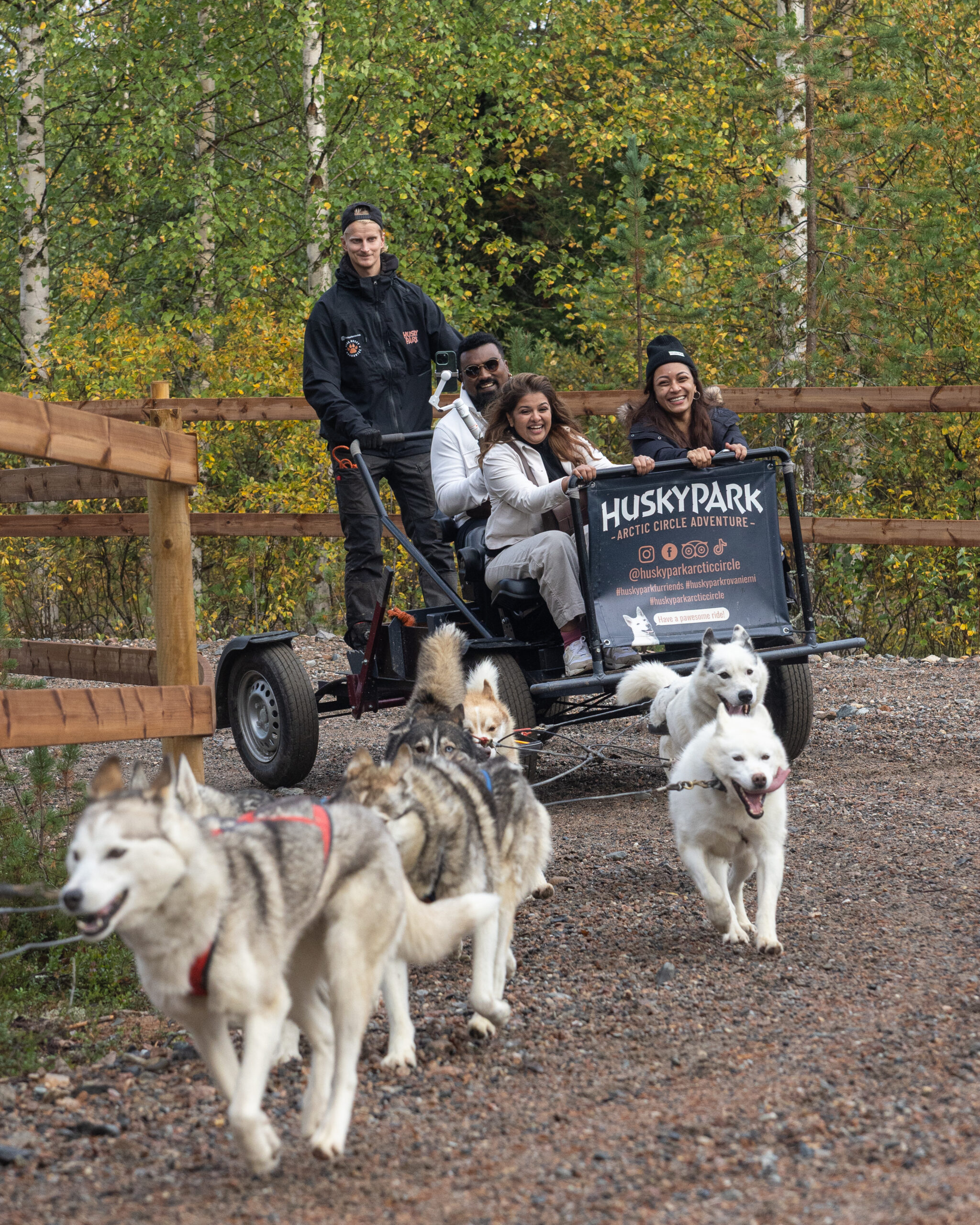 Huskies making a turn while pulling a cart on a gravel road