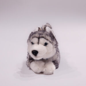 Husky lying 25 cm