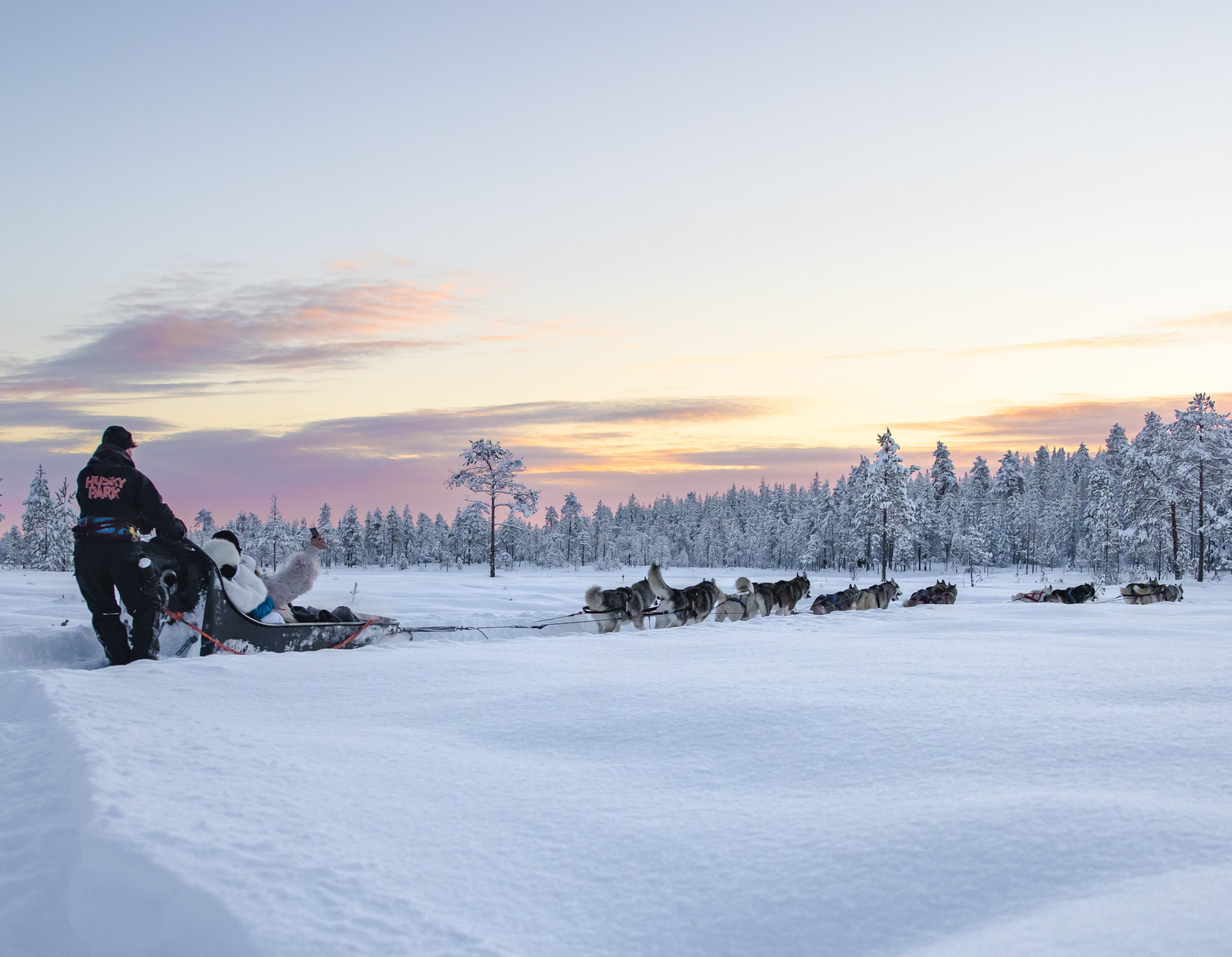 Sled team in the open with clear skies and snowy sites heading to the forest.